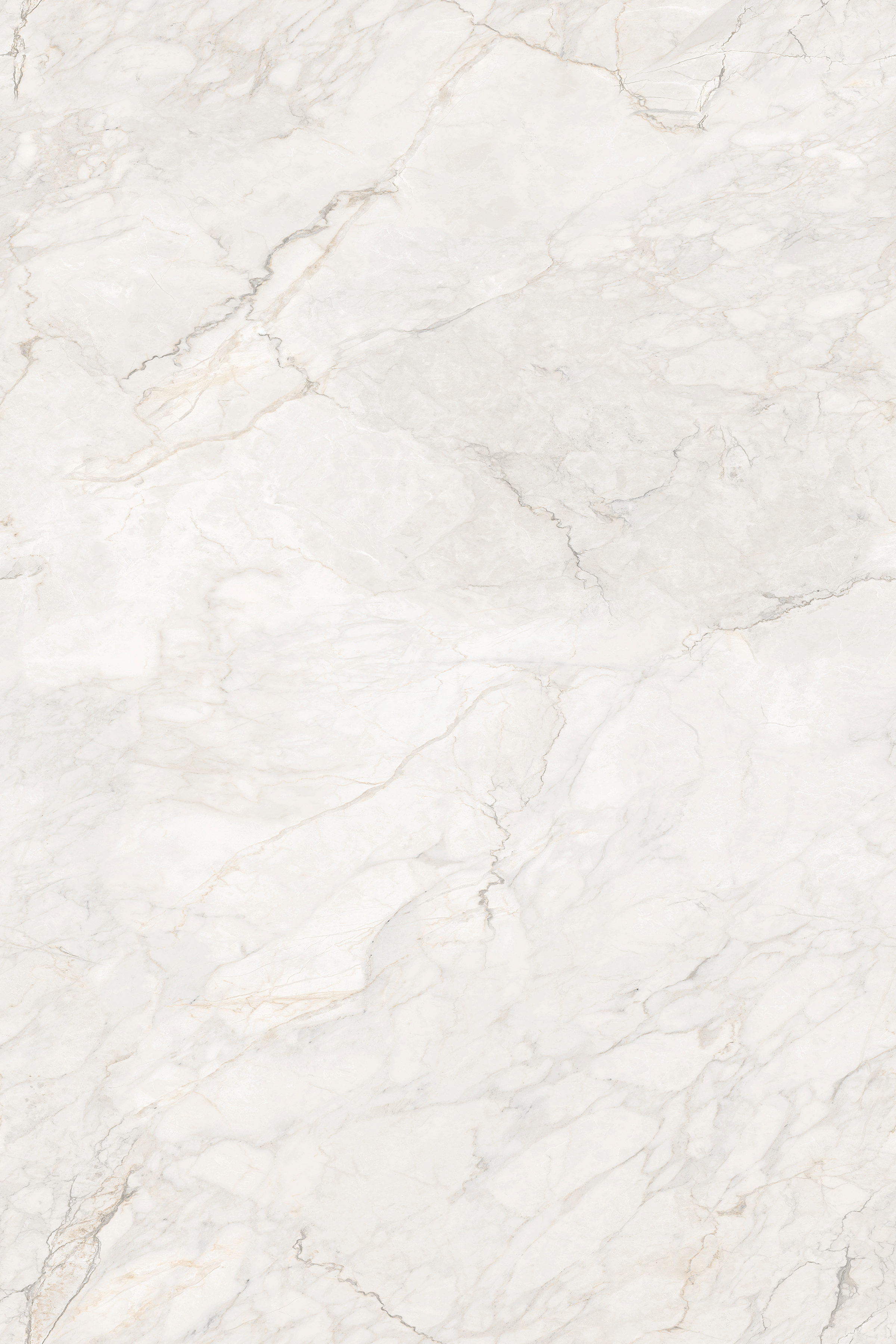 Porcelian Tiles gallery image 2