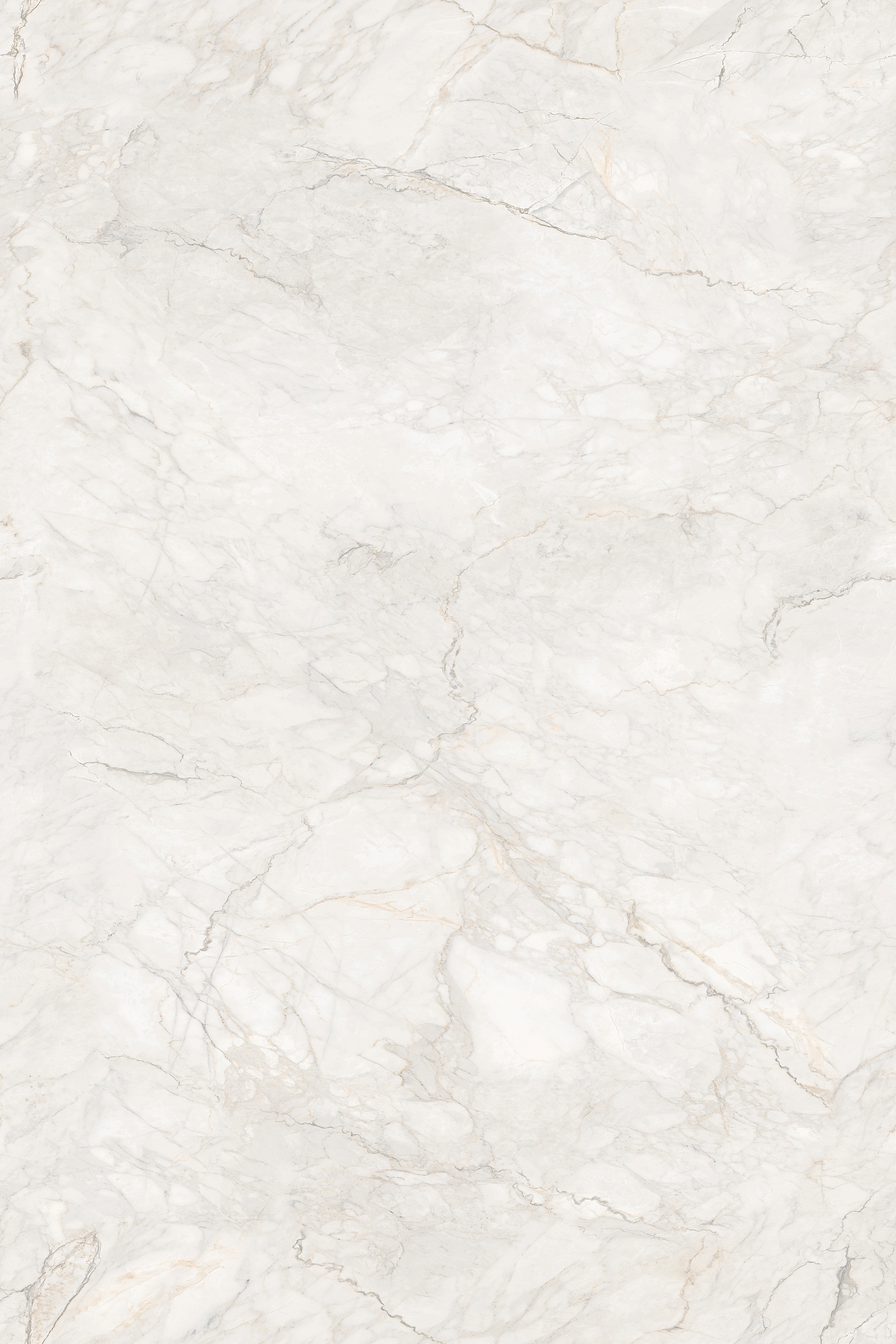 Porcelian Tiles gallery image 3