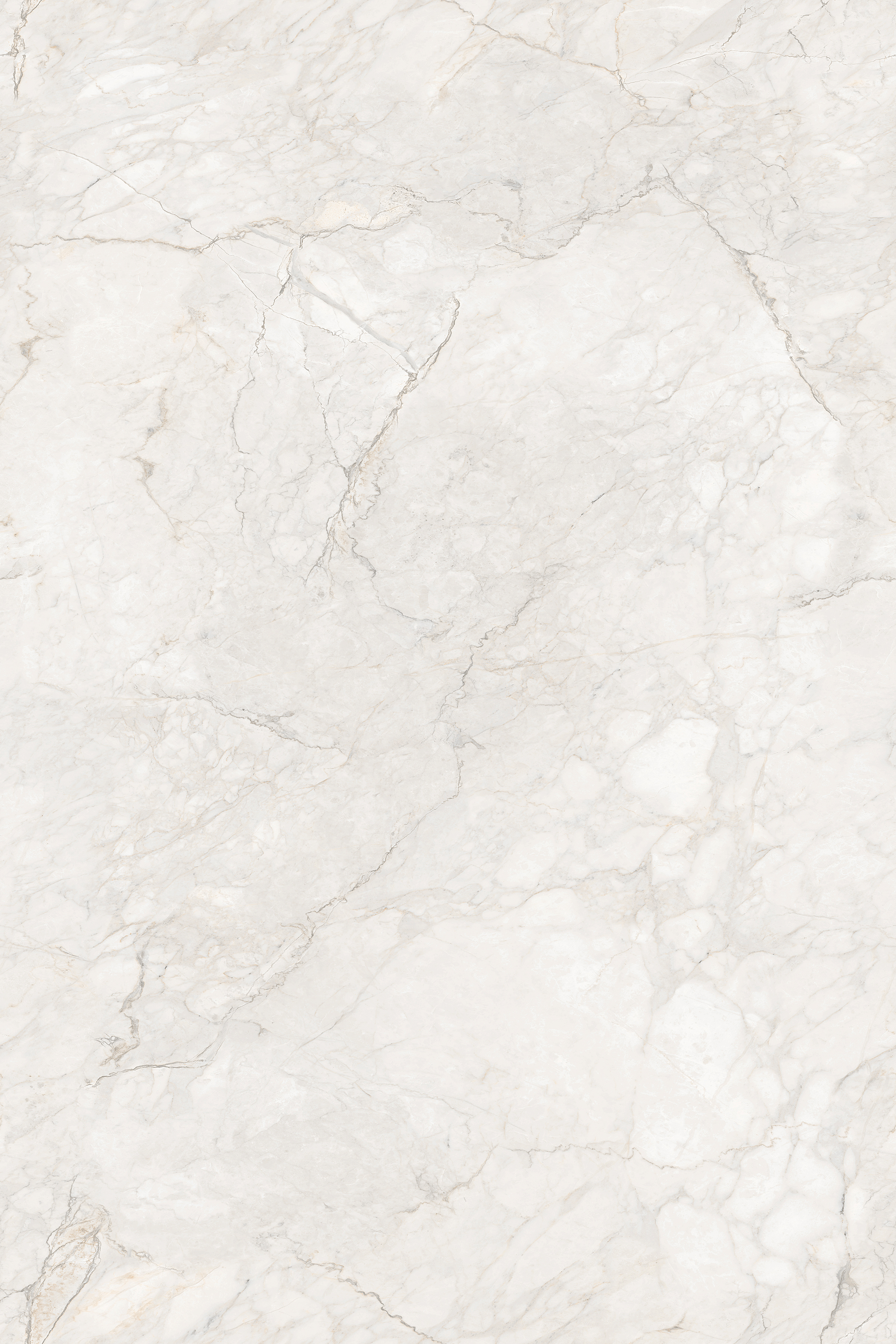 Porcelian Tiles gallery image 4