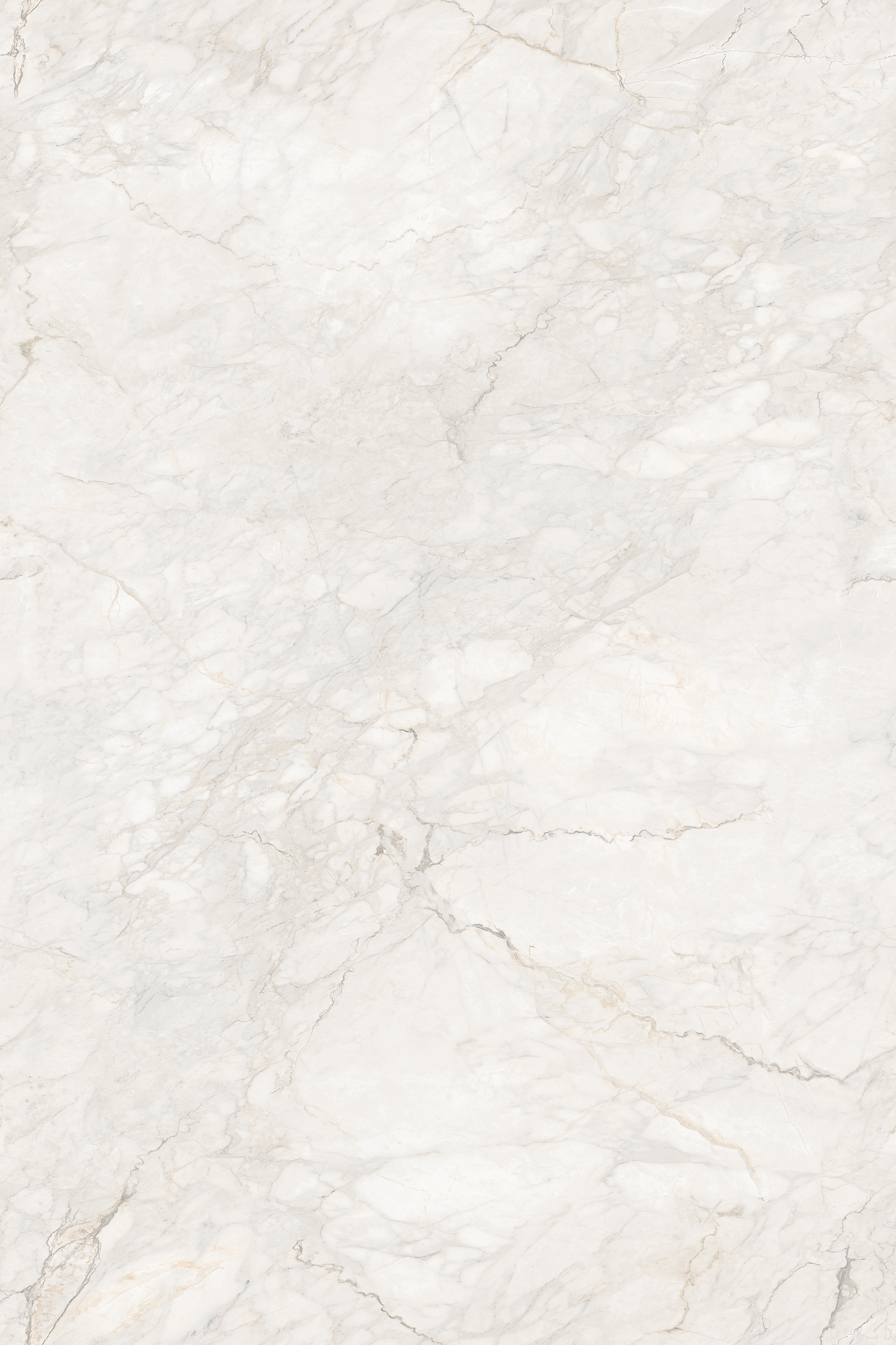 Porcelian Tiles gallery image 5