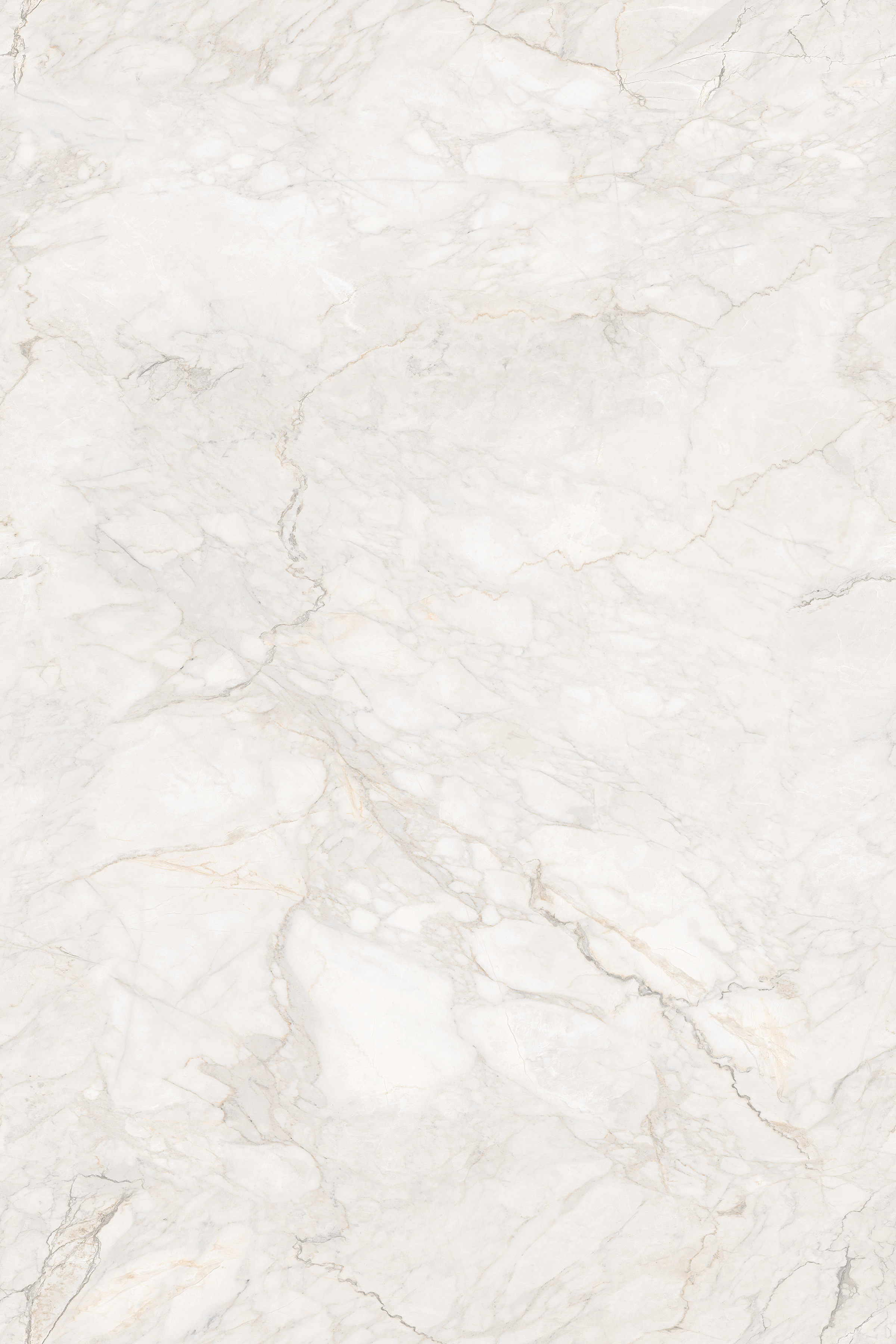 Porcelian Tiles gallery image 6